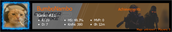 Player Banner