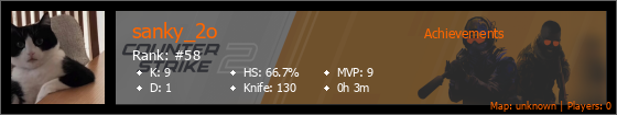 Player Banner