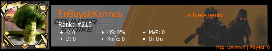 Player Banner