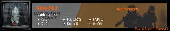 Player Banner